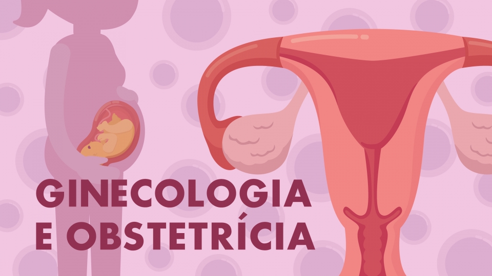 Médicos de Ginecologia/Obstetrícia de todo o País pedem escusa de ...