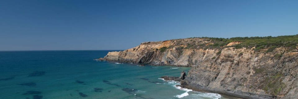 Land-based activities are “the greatest threats” to marine forests in Portugal