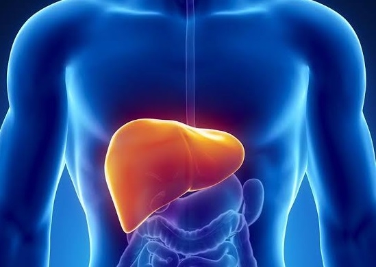 World Hepatitis Day: Prevention, Testing, and Public Health Risks